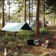 Bush Shelter 3
